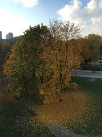 Trees against sky during autumn