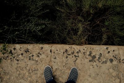 Low section of person standing on tiled floor