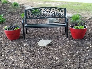High angle view of potted plant on bench