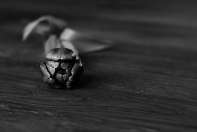 Close-up of flower head on table