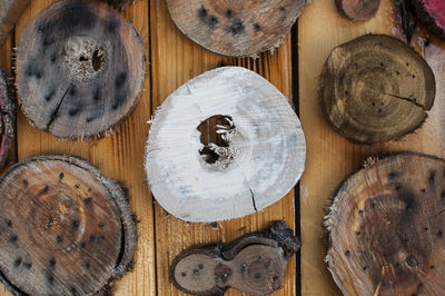 Directly above shot of wood