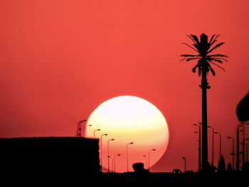 Silhouette palm tree against orange sky