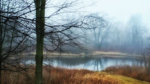 Scenic view of lake in forest during foggy weather