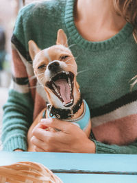 Midsection of person holding small dog at home