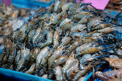 Close-up of seafood for sale at market stall