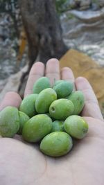 Close-up of grapes