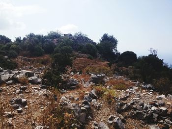 Scenic view of rock formation