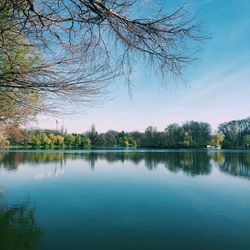 Reflection of trees in calm lake