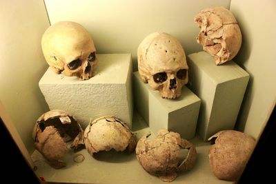 Close-up of human skull on table