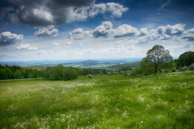 Scenic view of field against sky