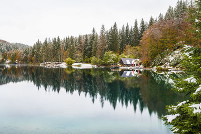 Scenic view of lake in forest against sky