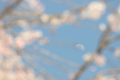 Low angle view of sky