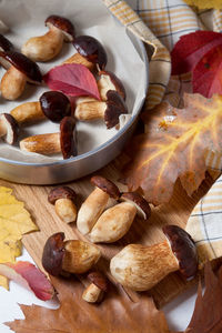 Close-up of food on table