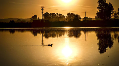 Silhouette man swimming in lake against sky during sunset