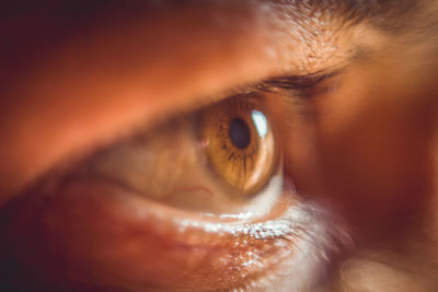 Close-up of human eye
