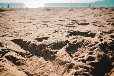 Close-up of footprints on sand at beach