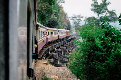 Train on railroad track by trees