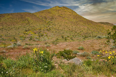 Scenic view of field by mountain against sky