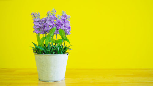 Close-up of potted plant on table against yellow wall