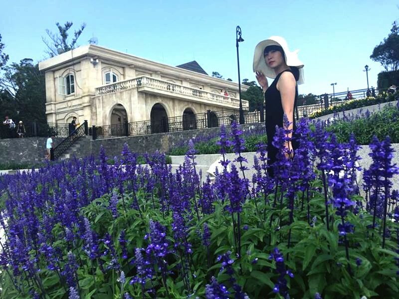 flower, architecture, built structure, building exterior, plant, clear sky, growth, tree, blue, park - man made space, freshness, formal garden, fragility, blooming, day, sky, outdoors, nature, fountain