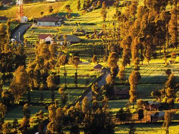 Scenic view of landscape during autumn