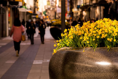 View of people walking on street