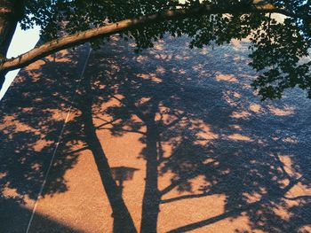 View of trees against the sky