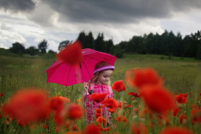 Close-up of red poppy flowers on field