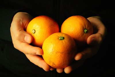 Close-up of oranges