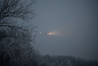 Low angle view of silhouette trees against sky at dusk