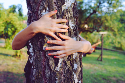 Midsection of woman holding tree trunk