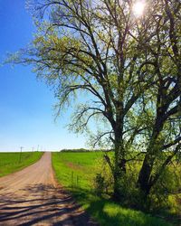 Road amidst field against clear sky