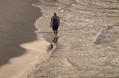 High angle view of people walking on beach