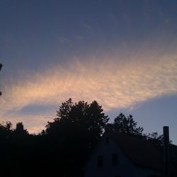 Low angle view of trees against sky at sunset