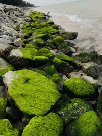 High angle view of rocks on beach