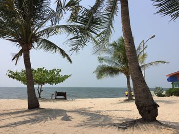 Palm trees on beach against clear sky