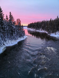 Scenic view of river in forest during sunset