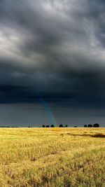 Scenic view of rural landscape