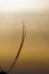 Low angle view of airplanes flying against sky during sunset