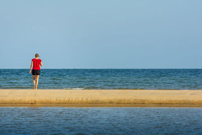 Rear view of man on beach against clear sky