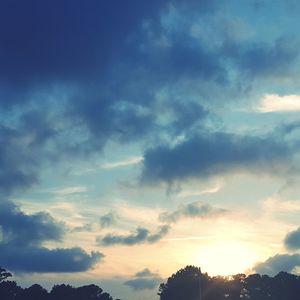 Low angle view of silhouette trees against sky