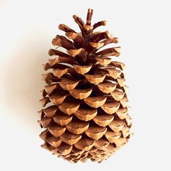 Close-up of stone wall