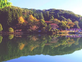 Reflection of trees in calm lake against clear sky