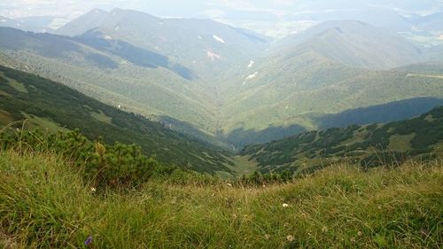 Scenic view of landscape