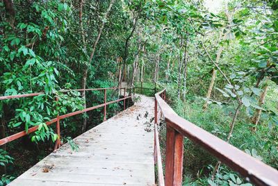 Wooden footbridge amidst trees in forest