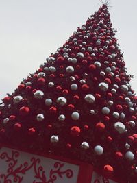 Close-up of red rose