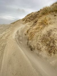 Scenic view of sand dunes in desert against sky