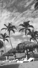 Palm trees by sea against cloudy sky