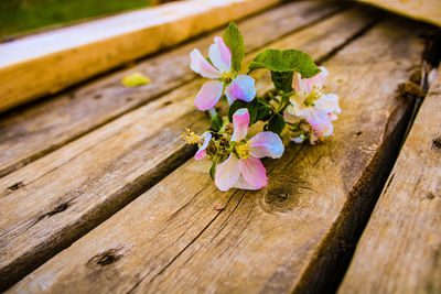 Close-up of pink flowering plant on wooden table