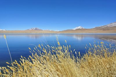 Scenic view of lake against blue sky